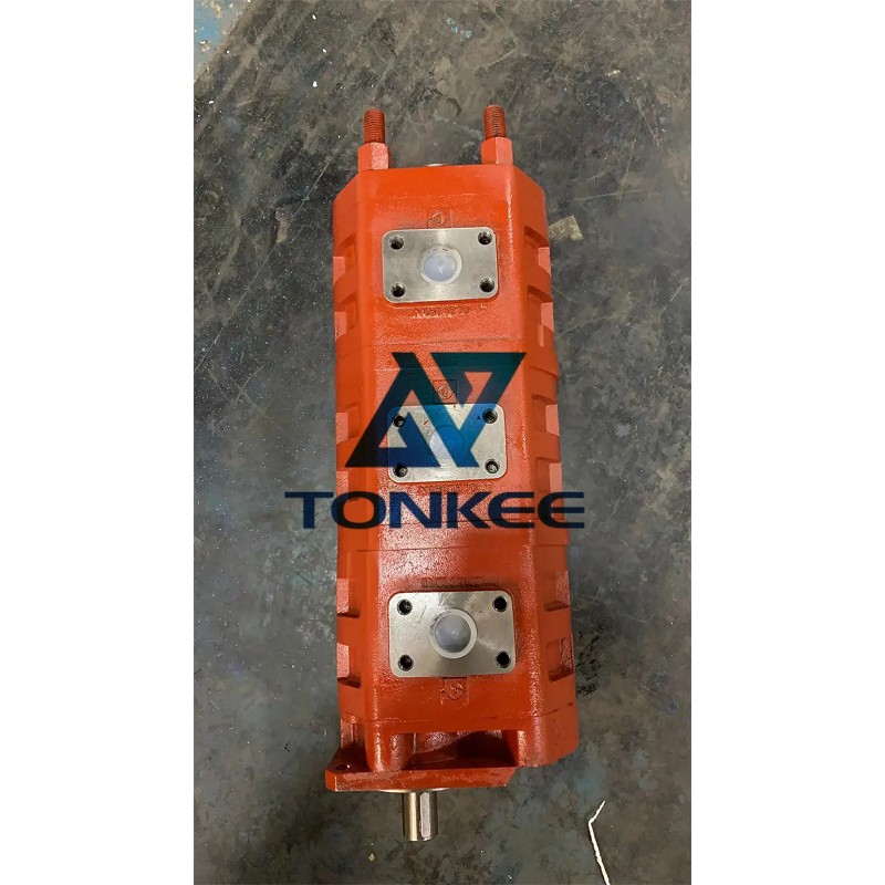 HOT SALE P7600 P5100 P3100 P360 P257 P197 P124 Series P7600C367AX/1119041030 Gear Oil Pump