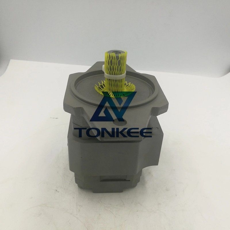 OEM Design PGH3 Series of PGH3-2X/011RE Hydraulic Gear Pump Injection Molding Machine Gear Pump
