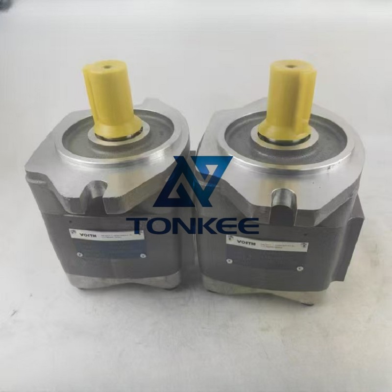 Voith Gear Pump Ipvp5-64-111